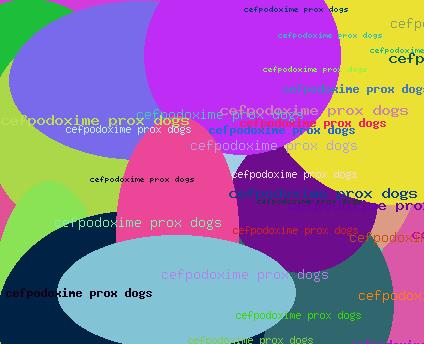 Cefpodoxime prox dogs