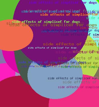 SIDE EFFECTS OF SIMPLICEF FOR DOGS